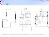 招商未来公园_4室2厅3卫 建面268平米